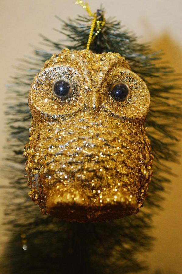 Owl Home Odessa Cozy Spacious Apartment In A Quiet Center Between Deribasovskaya And Privoz ภายนอก รูปภาพ